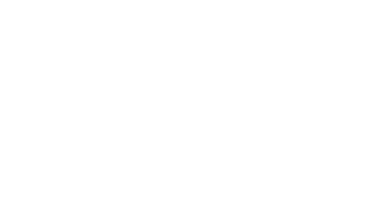inpi logo